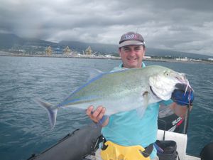 carangue-bleue-17_02.JPG
