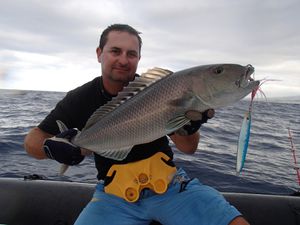 jobfish-21_10.JPG