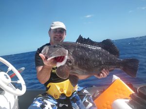 merou-8-kg-31_07.JPG