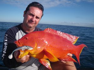 rouge-2.2kg-29_08.JPG