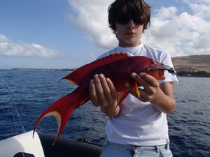 rouge-mael-16_10.jpg