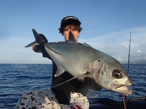 vorace-popper-06_02.jpg