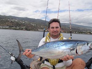 bonite2-6kg-24_08.JPG