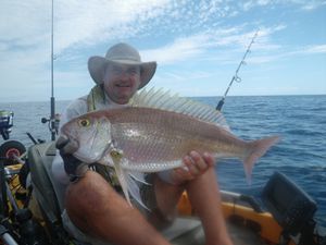 vivaneau-4kg.jpg