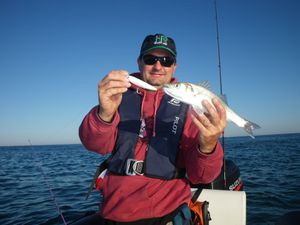 Bassin 23 06 (3)