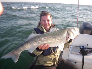 bar 75cms, 4.3kgs 20 05