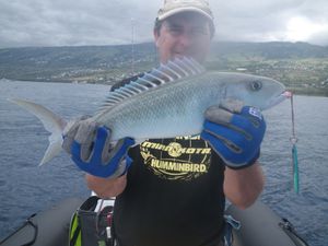 jobfish-12_09.JPG