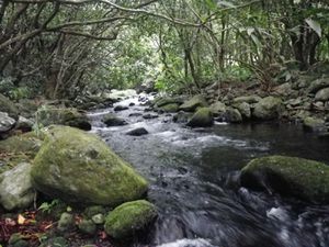 IMGP0344