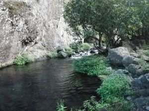 IMGP0410