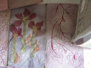 2011.06.08 Expo - Herbier M-P2