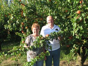 2011.07.14-Cueillette-de-fruits2.jpg