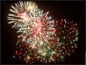 2010.07.14 Feu d'artifice