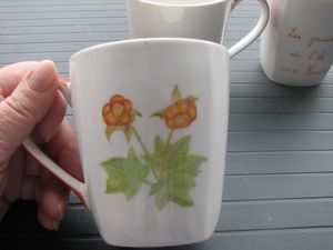 2008.07.12-Michele-mon-anniv.5.jpg