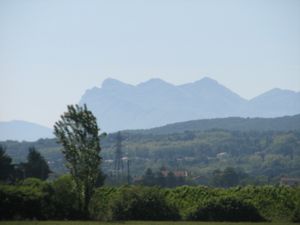 2010.05.25 Les 3 becs2