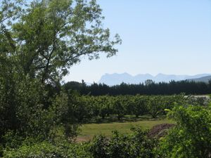 2010.05.25 Les 3 becs3