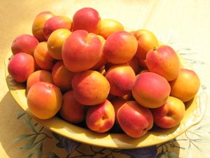 2010.06.25 Abricots4