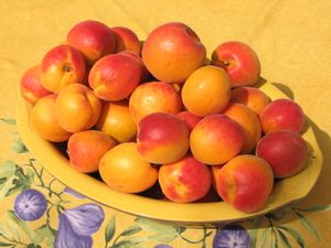 2010.06.25 Abricots5