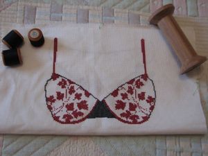 2010.02.12 soutien-gorge