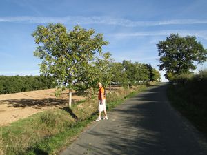 DSC00065