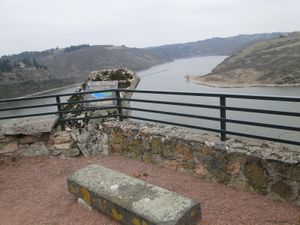 DSC08103