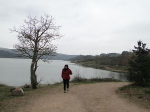 DSC08115