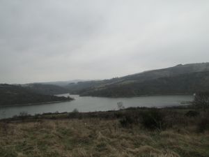 DSC08119