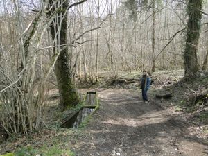 DSC08276