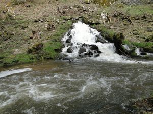 DSC08303