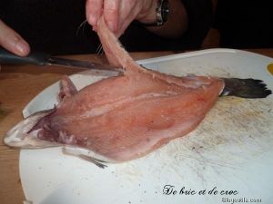 truite-2-copie-1.jpg