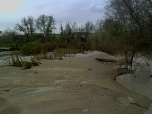 Rio-genil-05-03-2010-0205.JPG