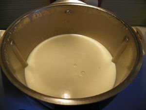 yaourt-lait-concentre-1.jpg