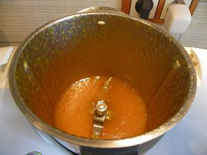 compote-mangue-nefles-6.jpg