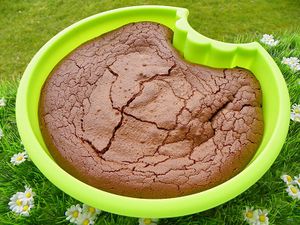 fondant-8.jpg