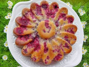 gateau-mures-10.jpg