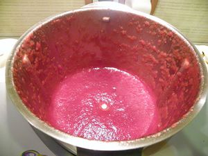 Compote Pommes Cerises Thermomix Blog Cuisine Thermomix Avec Recettes Pour Le Tm5 Tm31