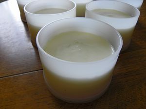 panacotta-mascarpone-7.jpg