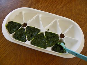 cubes-basilic-10.jpg