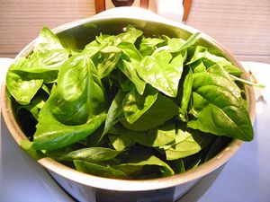 cubes-basilic-5.jpg