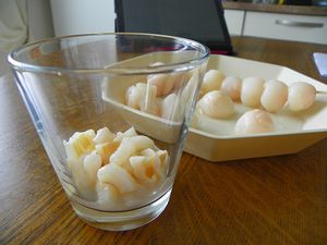 PANNACOTTA LITCHI 6