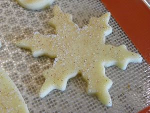 chaussons---sables--gratin-mangue-023.JPG