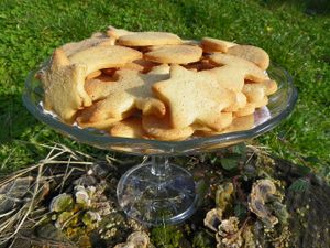 chaussons - sablés- gratin mangue 034