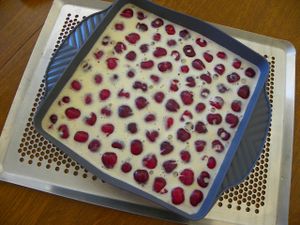 clafoutis-cerises-3-copie-1.jpg