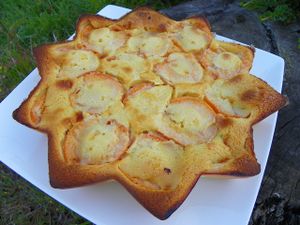 clafoutis-abricots-2.jpg