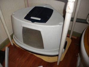 DSCN9826