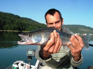 sandre-fury-shad-2.JPG