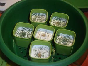 cuisine-29-022.JPG