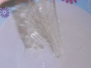 004-copie-4.JPG
