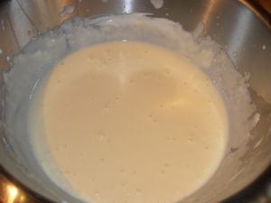 005-copie-5.JPG