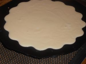 006-copie-5.JPG