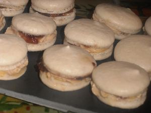 002-copie-5